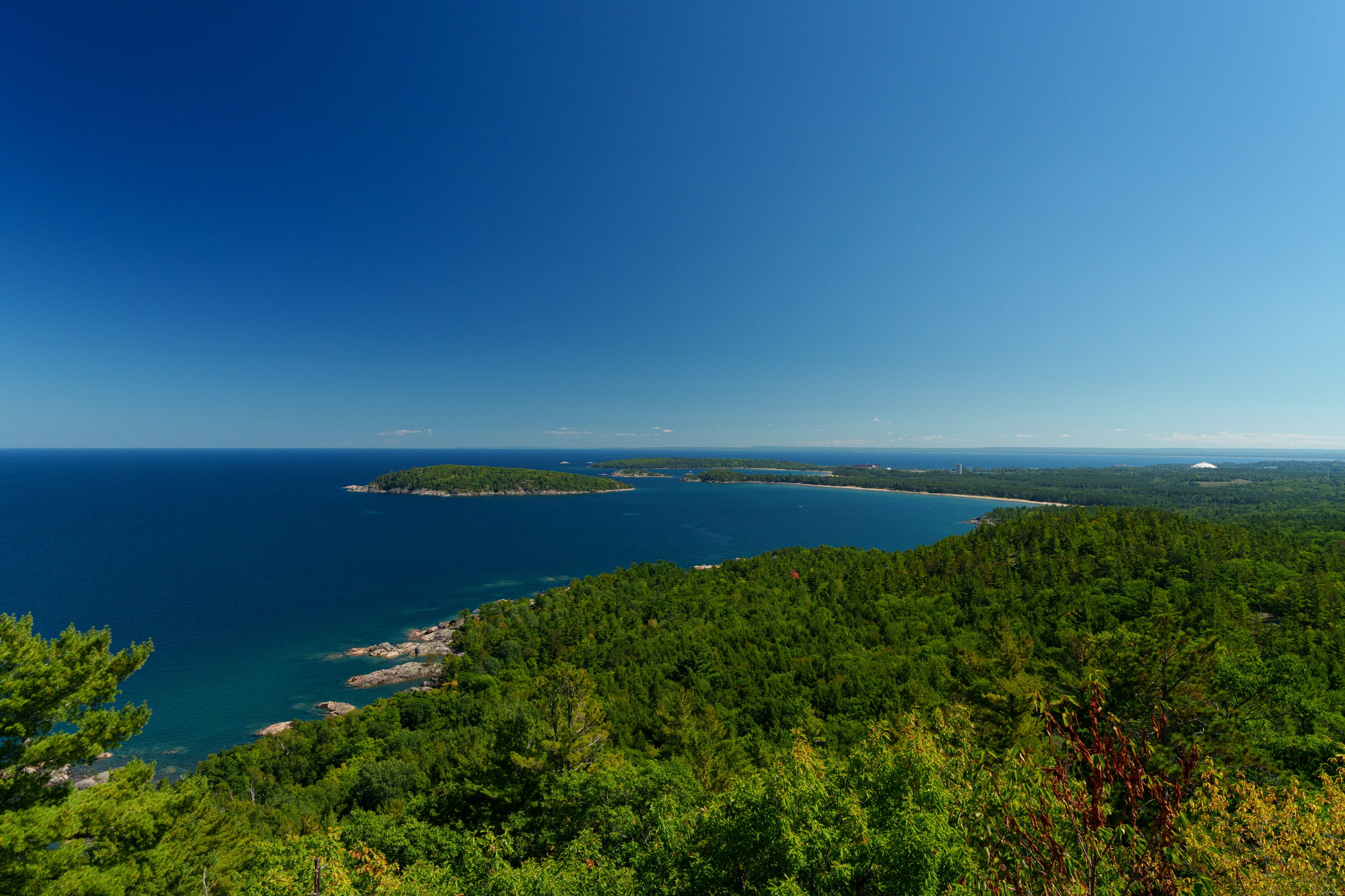From a high overlook, pine forest falls away to deep blue water, islands and a long shoreline under a clear sky.