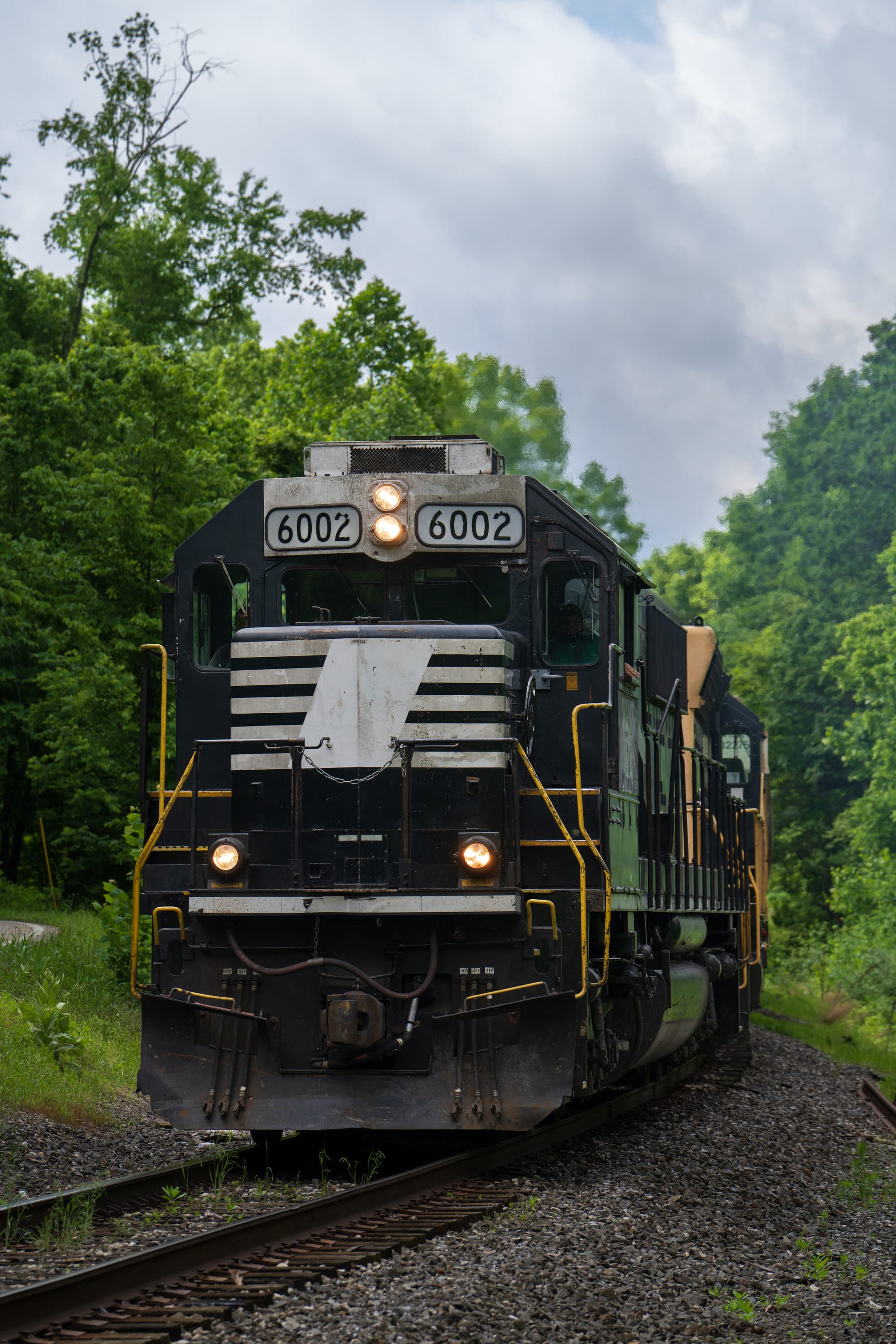 Locomotive 6002 comes around the bend close to the camera, its white-striped nose and headlights facing forward.